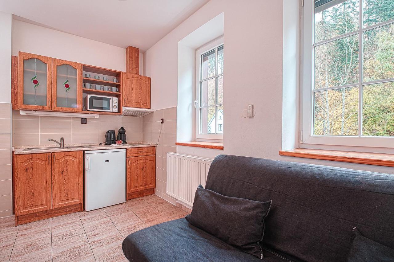 Apartments White - Hill Černý Důl Zewnętrze zdjęcie